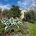 Apartment Casal Dei Fichi *